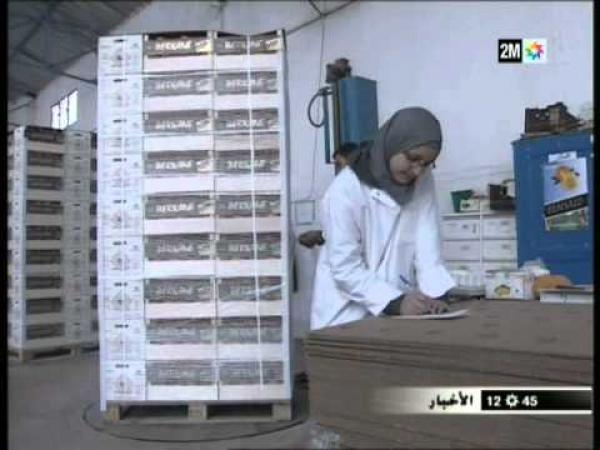 إنخفاض صادرات الحوامض  المغربية  نحو الخارج 