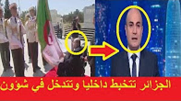 شاهد تقرير ناري لقناة الجزيرة حول تخبط النظام الجزائري وجعل الجزائر معزولة افريقيا و عربيا