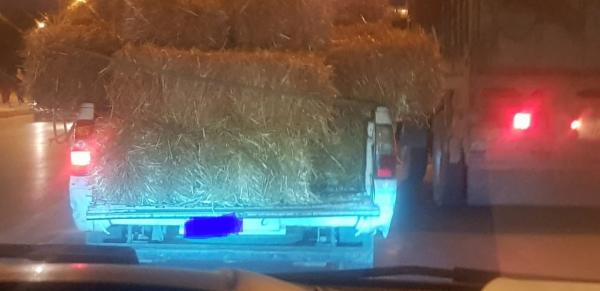 حصلة خايبة... دورية أمنية تُوقف سيارة جماعية مُحملة ب"التبن"(صور)