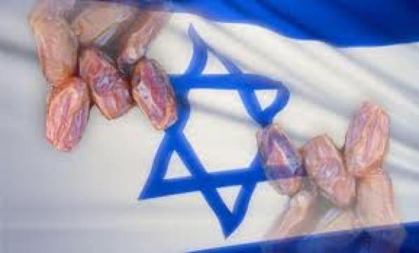 اكتشاف ضيعة إسرائيلية بالمغرب لانتاج التمور