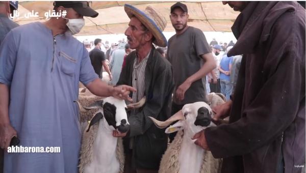 ردة فعل مثيرة لكساب ماباعش الحولي بالثمن لي باغي