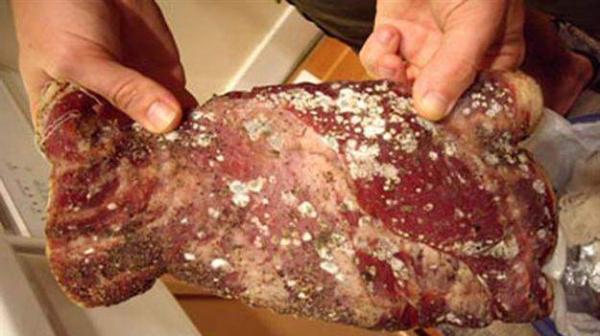 حجز حوالي 150 طنا من المنتجات الحيوانية او ذات أصل حيواني بجهة طنجة تطوان الحسيمة خلال سنة 2015