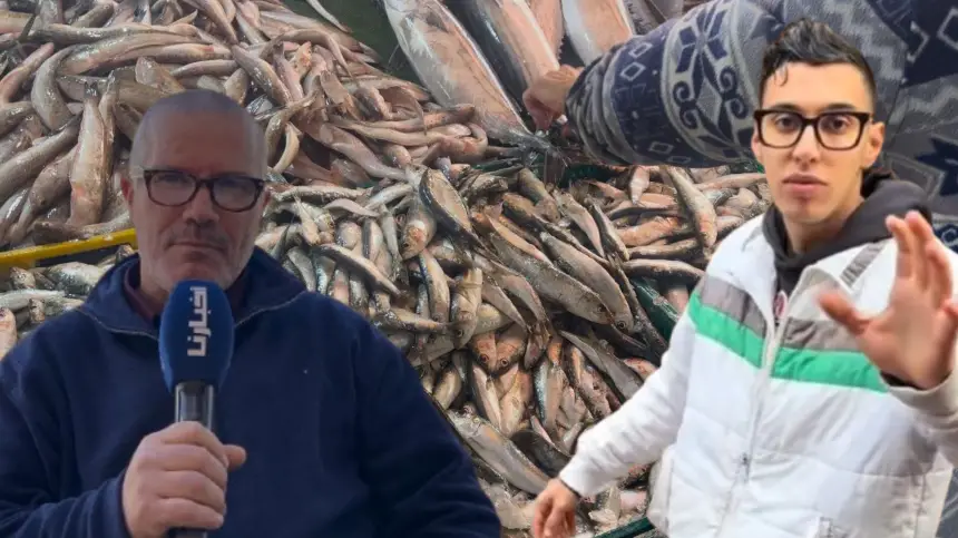 فاعل حقوقي يعلق على ضجة السردين بـ5 دراهم: هذه الحملة تخدم الحكومة ولجان المراقبة غائبة!