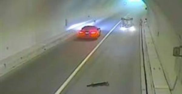 بالفيديو.. لحظة نجاة سائق من الموت بعد انقلاب سيارته واشتعال النيران بها