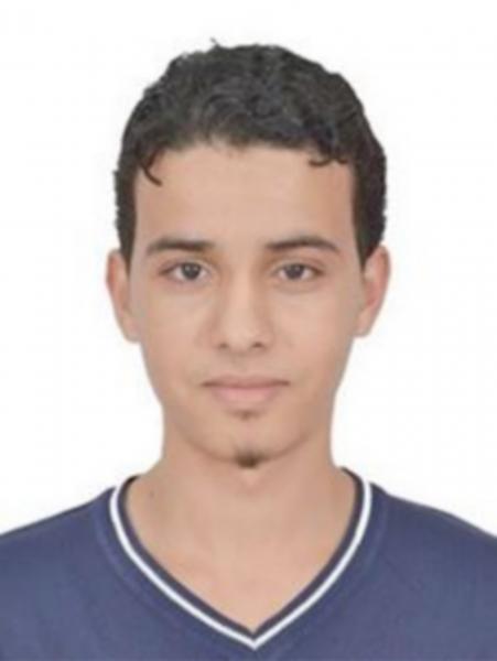 الانتخابات, فرصة للتشغيل المؤقت للعاطلين