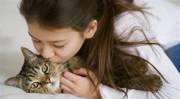 تربية القطط في الطفولة تسبب الإصابة بانفصام الشخصية