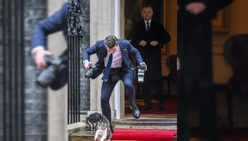 القط "لاري" يخطف الأضواء في لحظة طريفة خلال زيارة الرئيس البولندي إلى لندن
