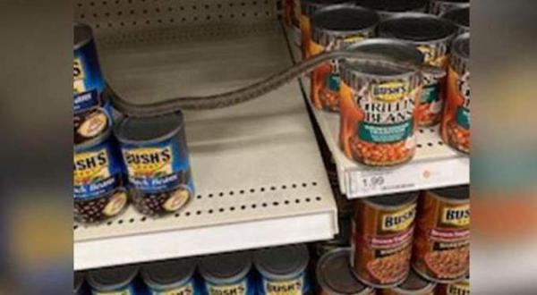 متسوقة تتفاجأ بثعبان يتحرك داخل عبوات الفاصوليا (فيديو)