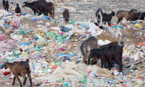 مأساة...طفل يفارق الحياة غرقا داخل حفرة مملوءة بعصارة الأزبال بآسفي