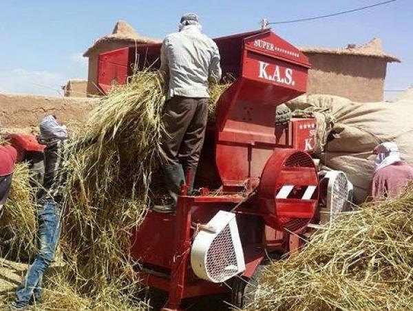 مؤلم... آلة درس "تطحن" شابا عشرينيا وتحوله إلى جثة هامدة وسط صدمة الفلاحين