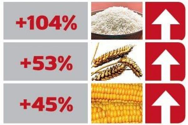 الفاو تحذر من أزمة غذاء عالمية