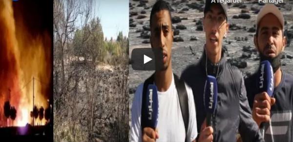 من الحدود المغربية الجزائرية: الرياح هي السبب الرئيسي في انتقال نيران الحرائق بين الجزائر والمغرب