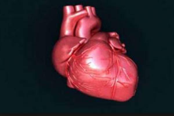 الأجهزة الإلكترونية تؤثر على منظم ضربات القلب