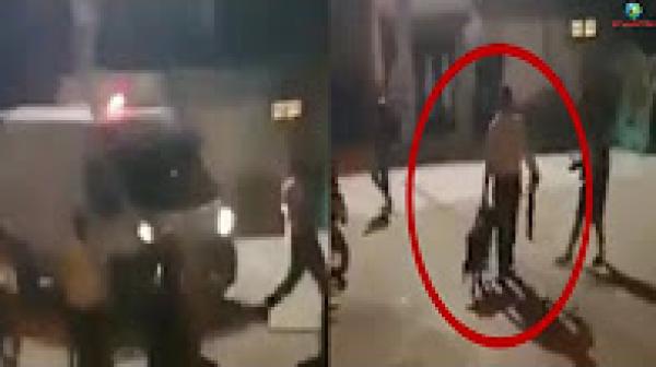 مشرمل عندو كلب وهاز لمضا محيح على المواطنين والبوليس