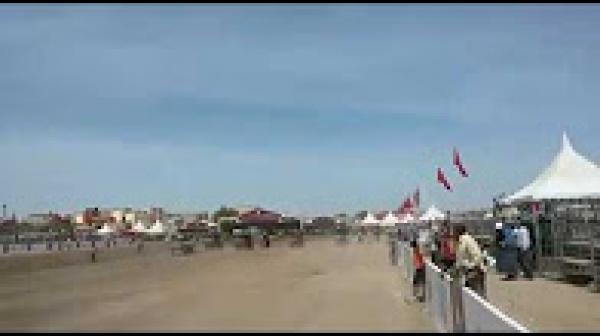 سابقة وشوهة مسابقة للكروسات ديال لعودان ولبغال في مهرجان للفرس