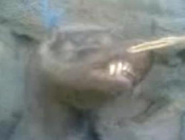 حقيقة فيديو وحش\'التشوباكابرا\' لم يصور في المغرب 