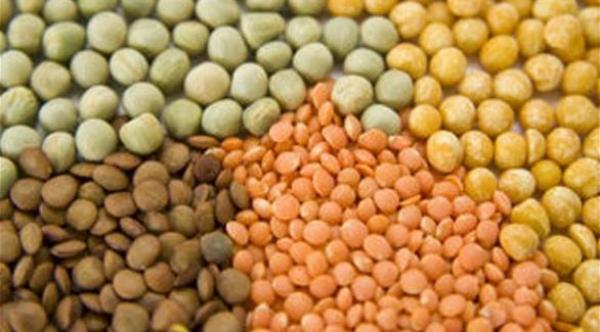 تعديل النظام الغذائي يحارب آلام النقرس