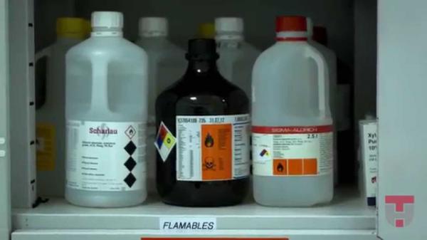 محكمة الجديدة تصدر حكمها في قضية "أستاذ" متهم بسرقة "مواد كيميائية" من مختبر الكلية