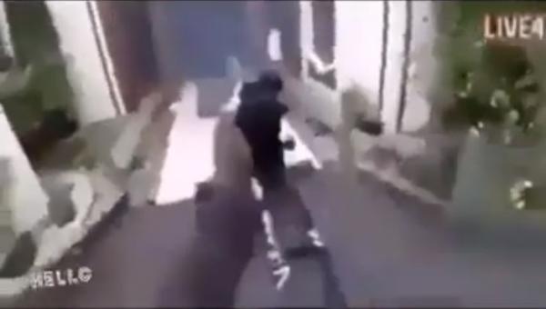 قتلى وجرحى بإطلاق نار داخل مسجد في نيوزيلاندا