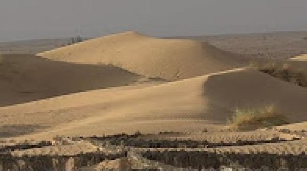 التغير المناخي يهدد نظام الواحات الطبيعية في المغرب