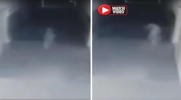 بالفيديو: شاهد ماذا اكتشفت الشرطة أثناء تحقيقها بشكوى امرأة