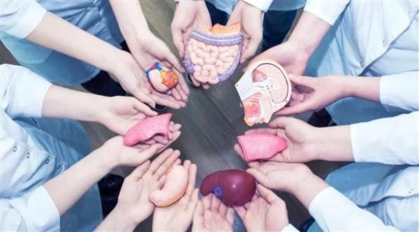 مصر تقيم أكبر مركز إقليمي لزراعة الأعضاء