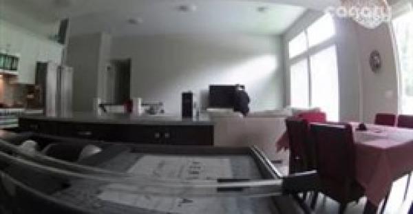 بالفيديو.. لصان يسرقان منزلا في 3 دقائق