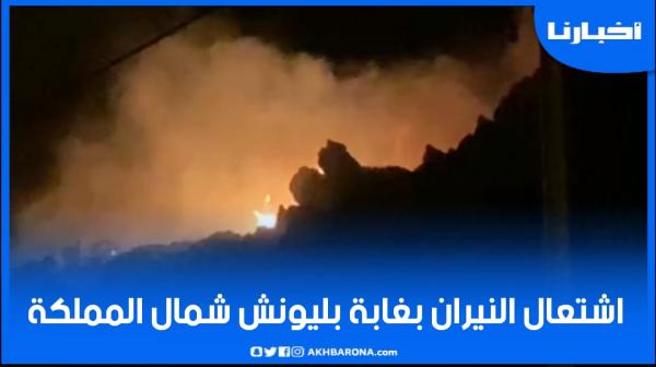 حريق جديد شمال المملكة وهذه المرة بغابة بليونيش القريبة من سبتة