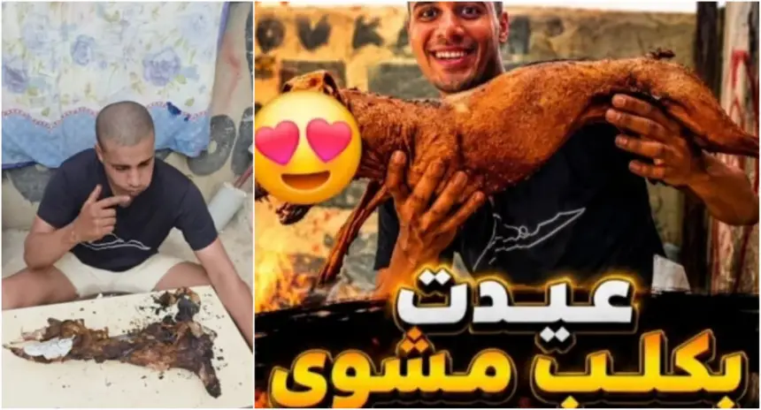 ذبح كلب عوض كبش صبيحة عيد الأضحى يجر انتقادات واسعة على "بن نسنس" ومطالب بالمحاسبة