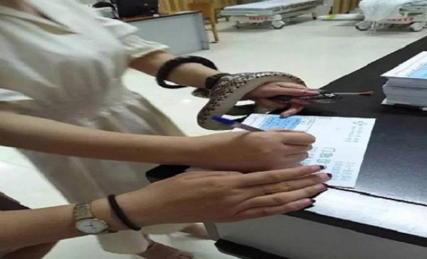 بالفيديو : سيدة صينية جريئة تحمل ثعبانا عضها إلى المستشفى