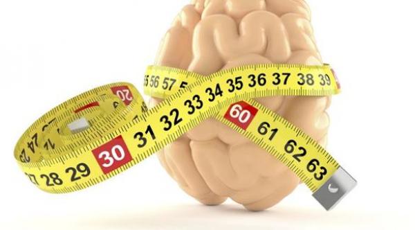 الدماغ كبير الحجم لا يعني زيادة الذكاء