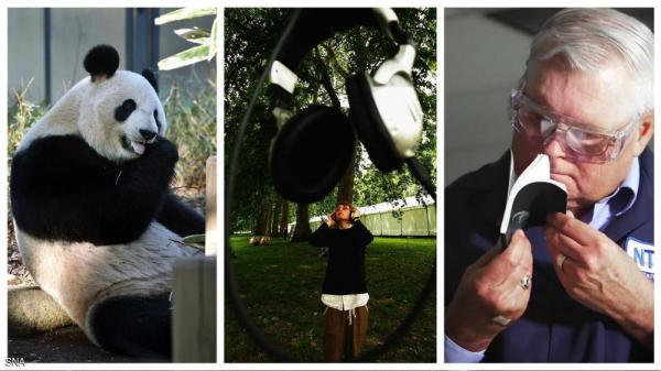 تعرف على أغرب المهن في العالم