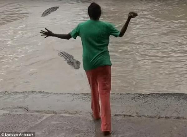 بالفيديو .. امرأة تخيف مجموعة تماسيح بـحذائها»