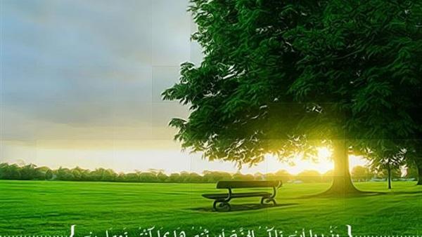 ماذا أعد الله للنساء من نعيم فى الجنة؟