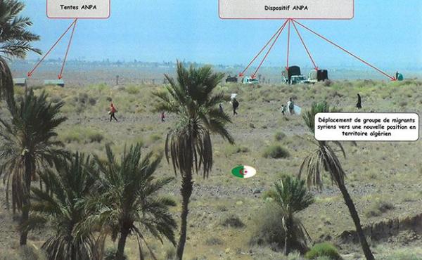 فيديو وصور تؤكد تورط الجزائر في طرد لاجئين سوريين نحو الحدود المغربية