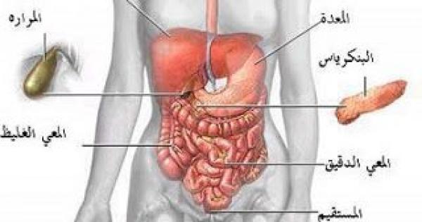 سوء الهضم مشكلة لها حل ولكن لابد أن تعرف سببها