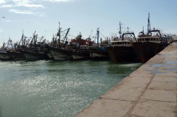 بسبب مغادرتهم للمدينة لقضاء عطلة العيد...بحارة العيون يخضعون لاختبارات الكشف عن "كورونا" قبل السماح لهم باستئناف أنشطة الصيد