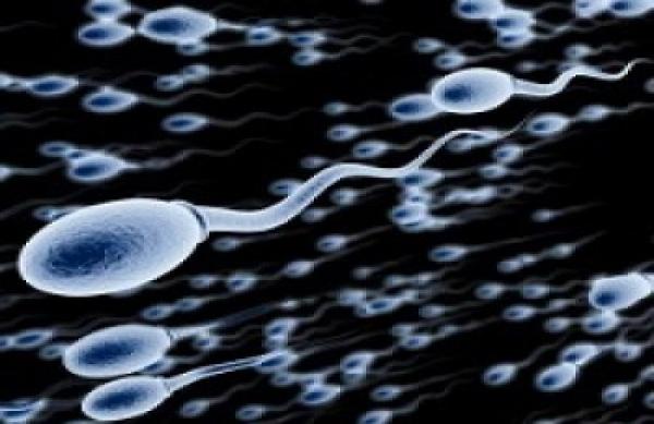 هل تعلم سبب تحريم الجماع في فترة الحيض ؟ من الاعجاز العلمي في القرأن الكريم