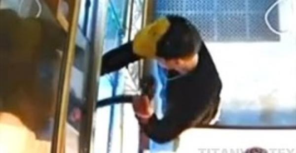 بالفيديو.. لص يسرق ثعبانًا ويخفيه في بنطاله