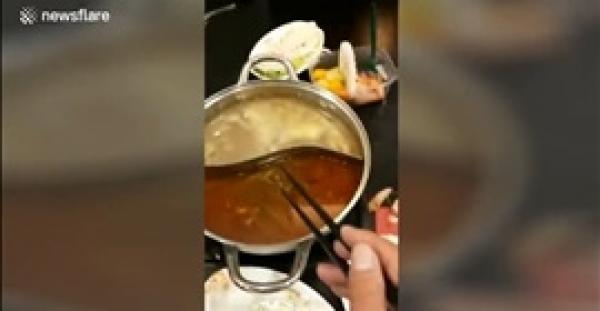 عثور امرأة على فأر في حسائها داخل مطعم (فيديو)