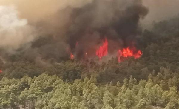 حرائق جديدة تلتهم غابات تاونات ومخاوف من تهديد ألسنة النيران لسلامة ساكنة الدواوير القريبة