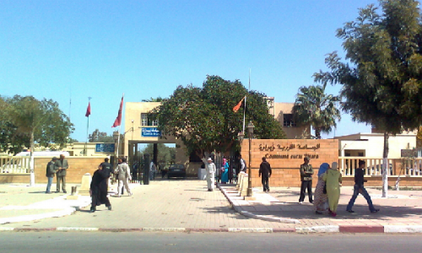 وفاة رأسين من الأبقار و مخاوف من وصول مرض الحمى القلاعية الى سيدي قاسم