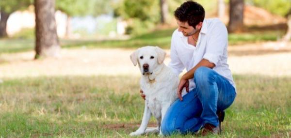 الإعلان عن أول حالة مشتبه فيها لانتقال فيروس "جدري القردة" من إنسان إلى كلب!