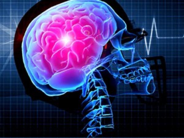 عالم يوضح كيف يتفادى المخ الوقوع في الأخطاء