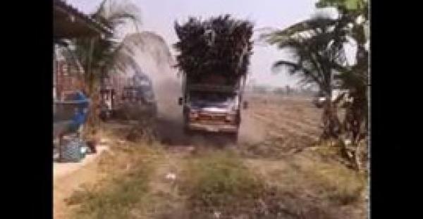 بالفيديو.. لحظة انقلاب شاحنة كبيرة محملة بالأشجار