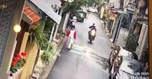 فيديو طريف للصان يخطفان كلبا من يد فتاة تتريض به (فيديو)