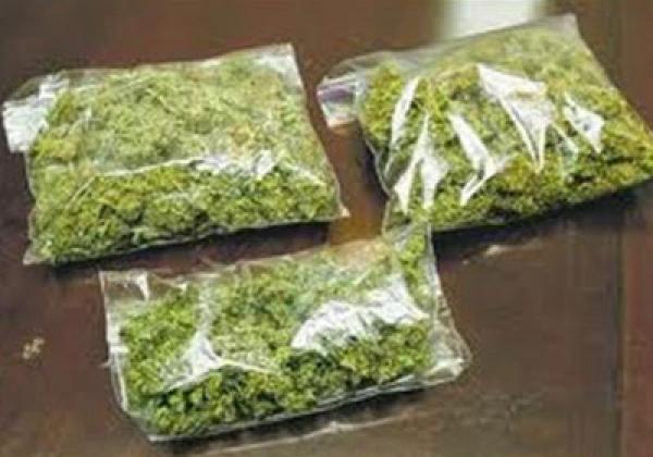 باحثون يطالبون بإلغاء قوانين مجرمة لتداول المخدرات لأنها تقف في طريق العلم