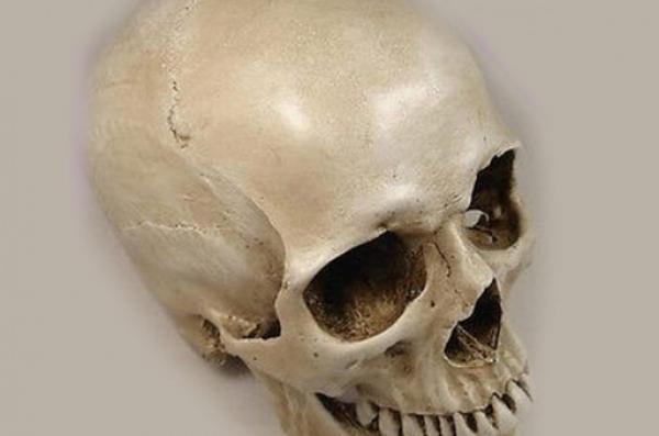 جمجمة بشرية بسوق المتلاشيات تستنفر الأجهزة الأمنية