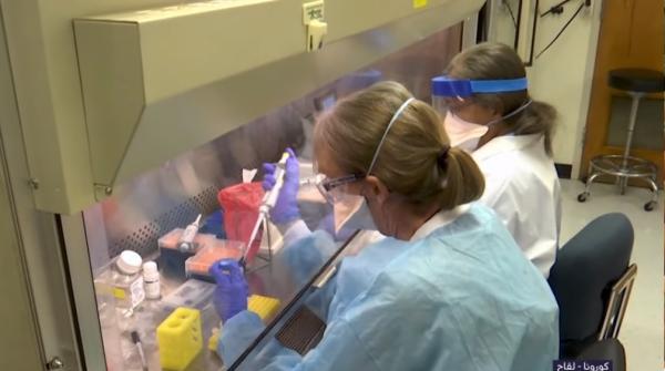 علماء أمريكيون: لقاح محتمل لكوفيد-19 يحقق نتائج مبشرة