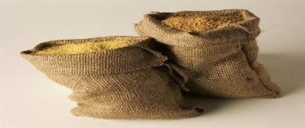 الحكومة تعتمد 290 درهما للقنطار كسعر مرجعي للقمح الطري عند التسليم للمطاحن